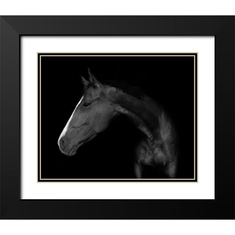 My horse Black Modern Wood Framed Art Print with Double Matting by Kogel, Wieteke de