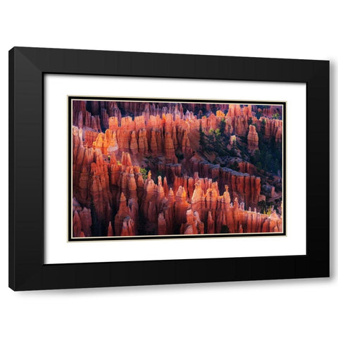 Bryce Canyon at Sunset Black Modern Wood Framed Art Print with Double Matting by Austin