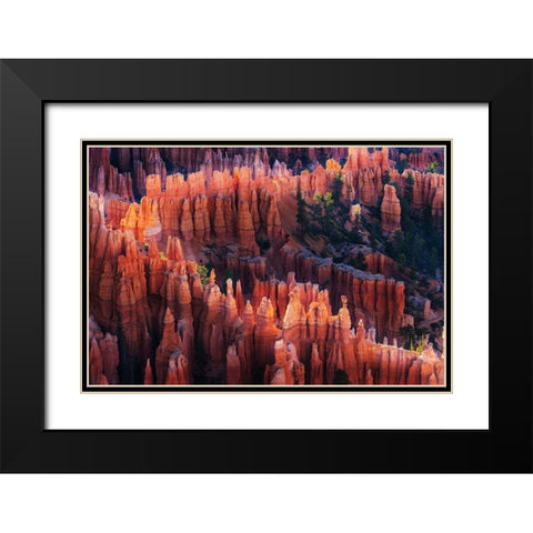 Bryce Canyon at Sunset Black Modern Wood Framed Art Print with Double Matting by Austin