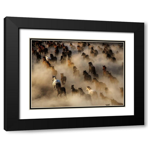 Wild horses Black Modern Wood Framed Art Print with Double Matting by Bedir, Mehmet