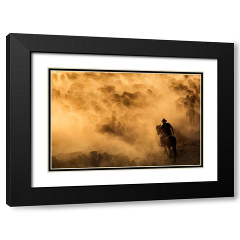 Cappadocia wild horses Black Modern Wood Framed Art Print with Double Matting by Mirica, Dan