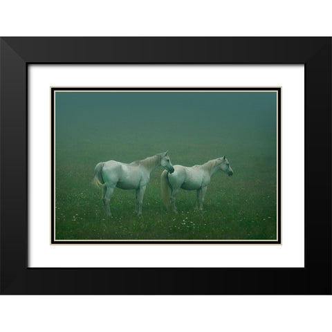 In the silent field Black Modern Wood Framed Art Print with Double Matting by Khemkum, Ekkachai