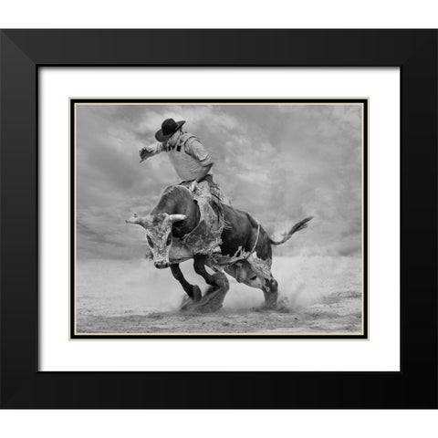 Ram Rodeo Black Modern Wood Framed Art Print with Double Matting by Wang, Yun