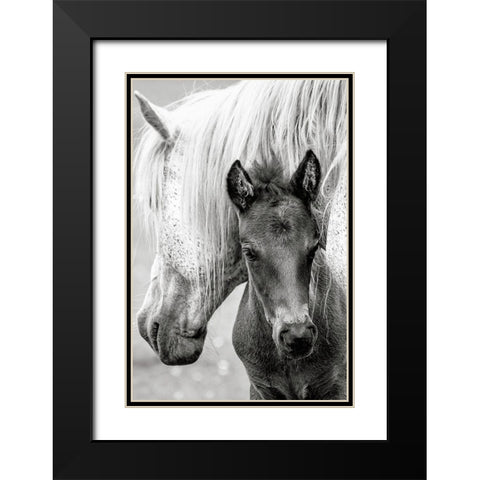 The Foal Black Modern Wood Framed Art Print with Double Matting by Parker, Jacky