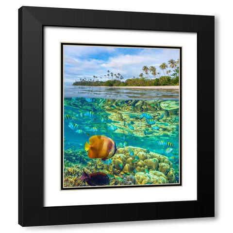 Coral and butterfly fish at Cadlao Island-Palawan-Philippines Black Modern Wood Framed Art Print with Double Matting by Fitzharris, Tim