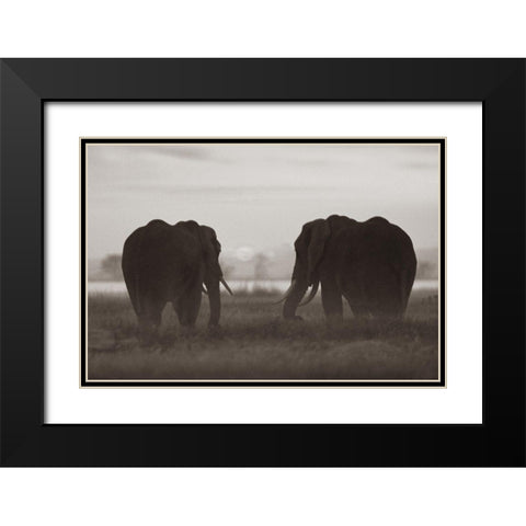 African Elephants at sunrise-Amboseli National Reserve-Kenya Sepia Black Modern Wood Framed Art Print with Double Matting by Fitzharris, Tim