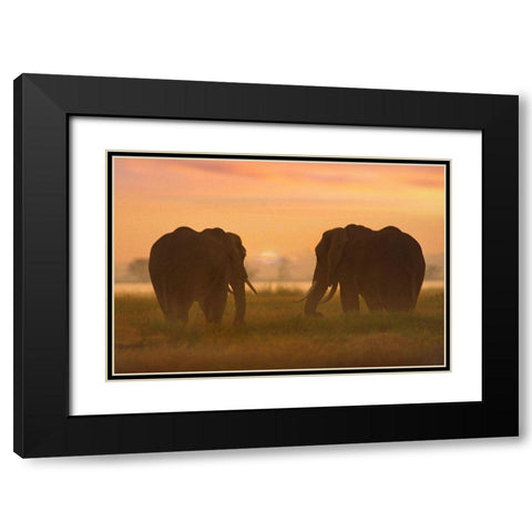 African Elephants at sunrise-Amboseli National Reserve-Kenya Black Modern Wood Framed Art Print with Double Matting by Fitzharris, Tim