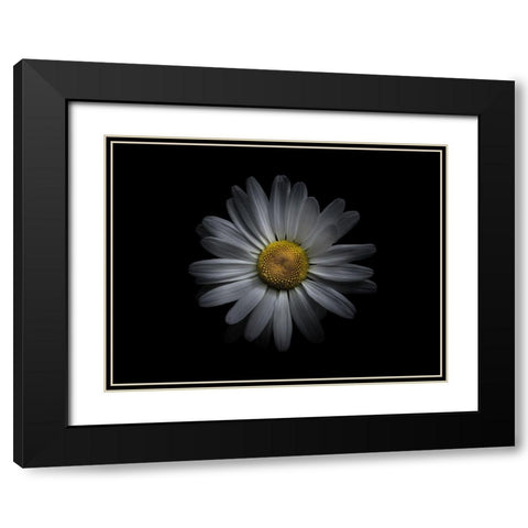 Backyard Flowers White 60 Black Modern Wood Framed Art Print with Double Matting by Carson, Brian