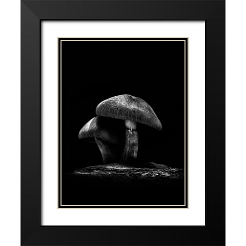 Toadstools on a Toronto Trail No 6 Black Modern Wood Framed Art Print with Double Matting by Carson, Brian
