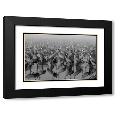 Crosspoint Black Modern Wood Framed Art Print with Double Matting by Meirovich, ido