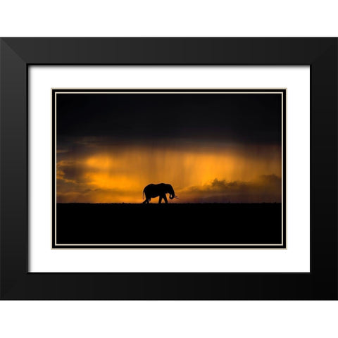 Elephant in a rain storm at sunset Black Modern Wood Framed Art Print with Double Matting by Ortega, Xavier