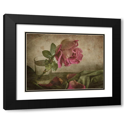 Tear of Rose Black Modern Wood Framed Art Print with Double Matting by Tokarev, Igor