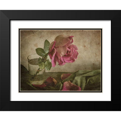 Tear of Rose Black Modern Wood Framed Art Print with Double Matting by Tokarev, Igor