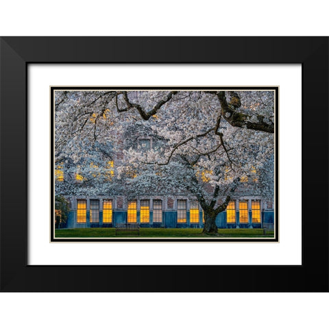 Morning at University of Washington Black Modern Wood Framed Art Print with Double Matting by Jacobs, Lydia