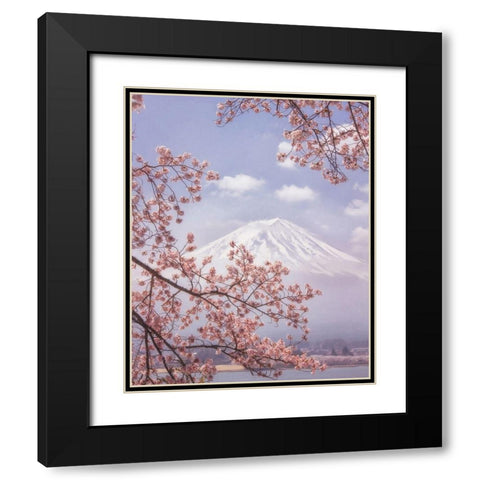Mt.Fuji in the cherry blossoms Black Modern Wood Framed Art Print with Double Matting by Samejima, Makiko