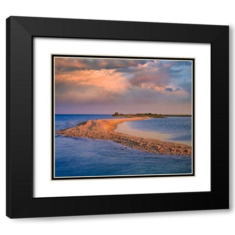 Oystercatcher Point near Rockport-Texas Black Modern Wood Framed Art Print with Double Matting by Fitzharris, Tim