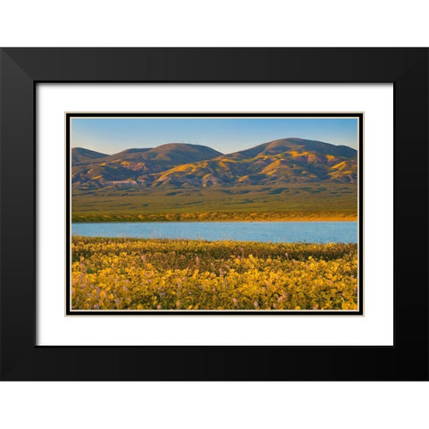 Temblor Range at Soda Lake -Carrizo Plain National Monument-California Black Modern Wood Framed Art Print with Double Matting by Fitzharris, Tim
