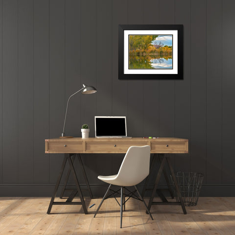 Lagoon Reflection-Dead Horse Ranch State Park-Arizona-USA Black Modern Wood Framed Art Print with Double Matting by Fitzharris, Tim
