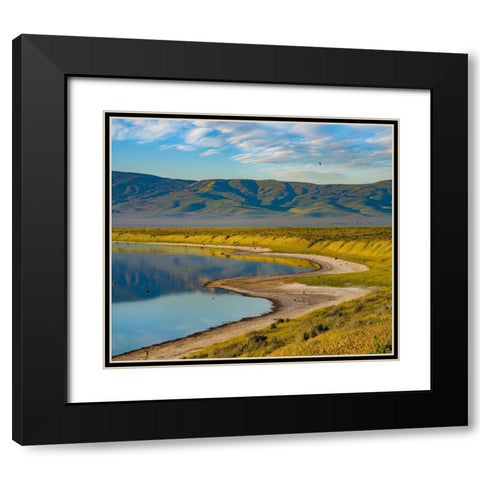 Soda Lake-Carrizo Plain National Monument Black Modern Wood Framed Art Print with Double Matting by Fitzharris, Tim