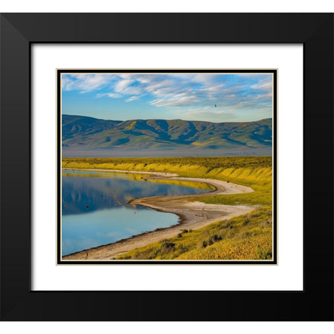 Soda Lake-Carrizo Plain National Monument Black Modern Wood Framed Art Print with Double Matting by Fitzharris, Tim