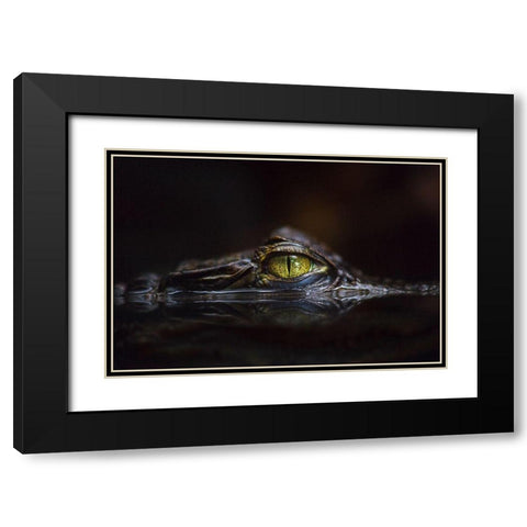 Hypnotic Black Modern Wood Framed Art Print with Double Matting by Cessati, Gaetano