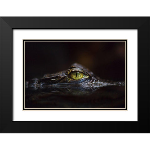 Hypnotic Black Modern Wood Framed Art Print with Double Matting by Cessati, Gaetano