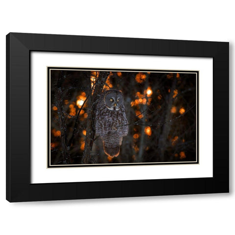 As the Sun Goes Down Black Modern Wood Framed Art Print with Double Matting by Kalathas, Nick