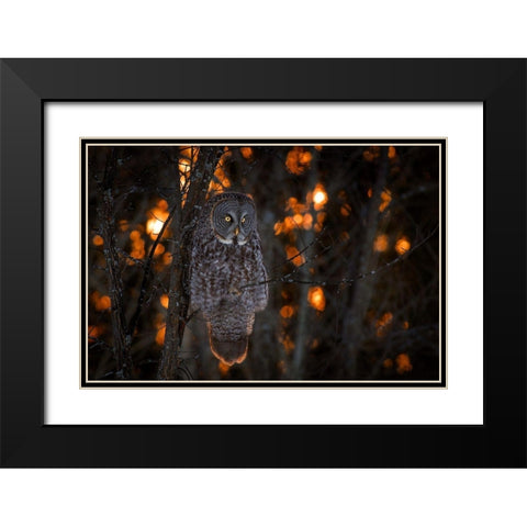 As the Sun Goes Down Black Modern Wood Framed Art Print with Double Matting by Kalathas, Nick