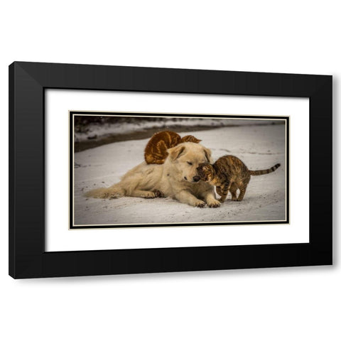 sweet effusions Black Modern Wood Framed Art Print with Double Matting by Lucidi, Riccardo