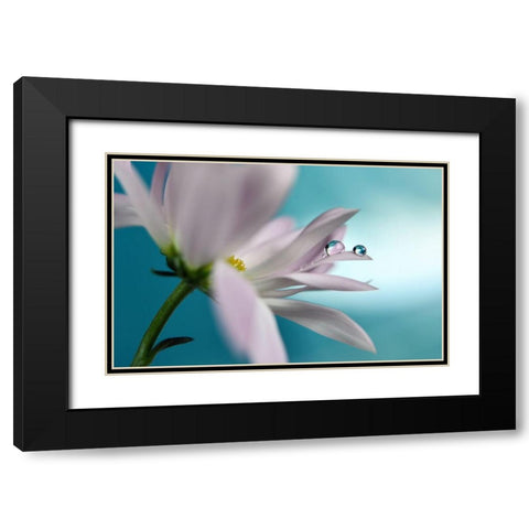 In turquoise Company Black Modern Wood Framed Art Print with Double Matting by Westum, Heidi