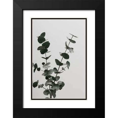 Eucalyptus Natural 04 Black Modern Wood Framed Art Print with Double Matting by Artographie Studio