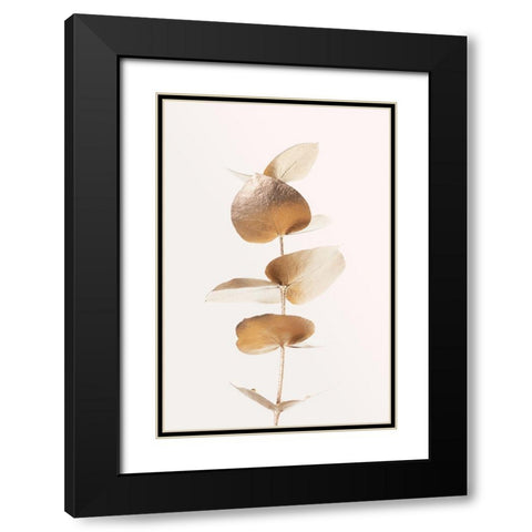 Eucalyptus Gold No 06 Black Modern Wood Framed Art Print with Double Matting by Artographie Studio
