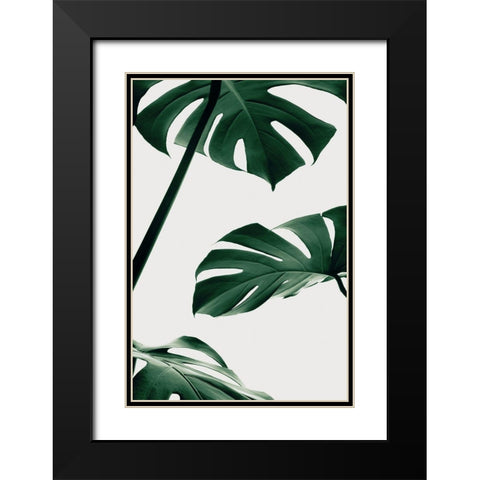 Monstera Natural 13 Black Modern Wood Framed Art Print with Double Matting by Artographie Studio