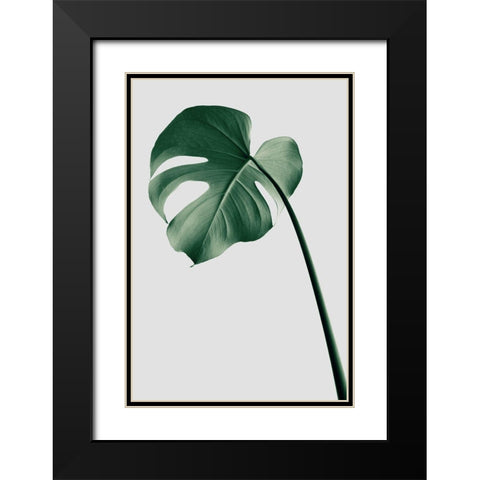 Monstera Natural 36 Black Modern Wood Framed Art Print with Double Matting by Artographie Studio