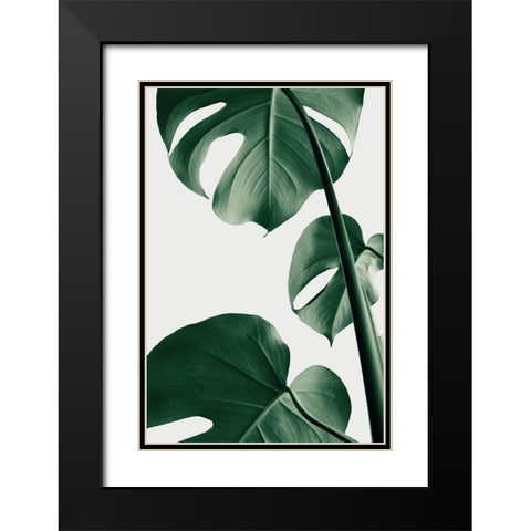 Monstera Natural 37 Black Modern Wood Framed Art Print with Double Matting by Artographie Studio