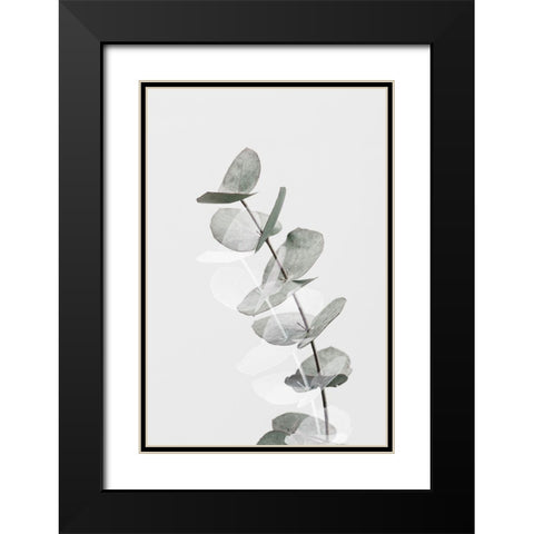 Eucalyptus Creative 05 Black Modern Wood Framed Art Print with Double Matting by Artographie Studio