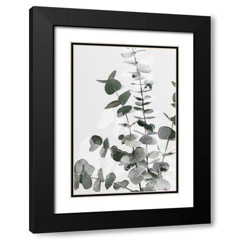 Eucalyptus Creative 06 Black Modern Wood Framed Art Print with Double Matting by Artographie Studio