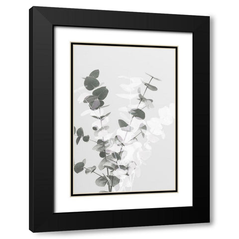 Eucalyptus Creative 08 Black Modern Wood Framed Art Print with Double Matting by Artographie Studio