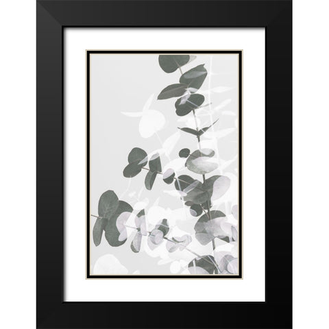 Eucalyptus Creative 09 Black Modern Wood Framed Art Print with Double Matting by Artographie Studio