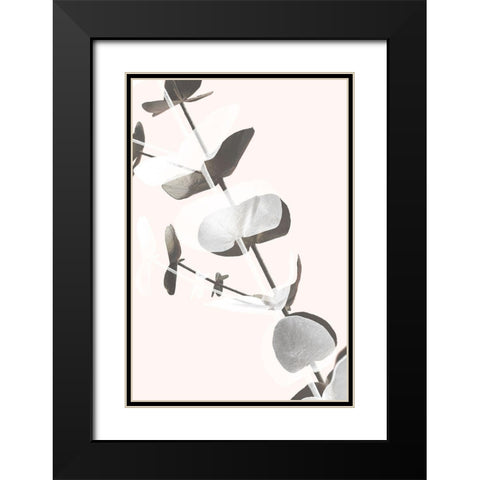 Eucalyptus Creative 13 Black Modern Wood Framed Art Print with Double Matting by Artographie Studio