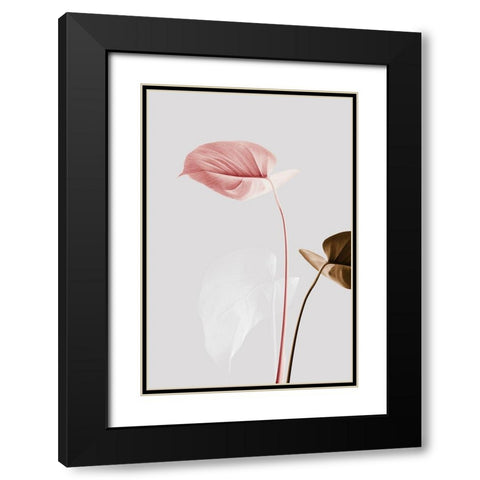 Monstera Creative 21 Black Modern Wood Framed Art Print with Double Matting by Artographie Studio