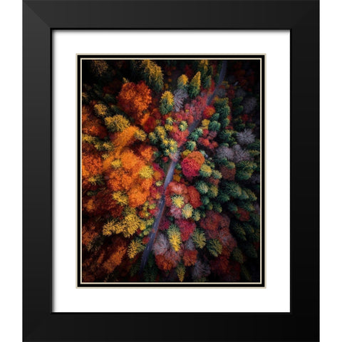 Fall stories Black Modern Wood Framed Art Print with Double Matting by Razvan