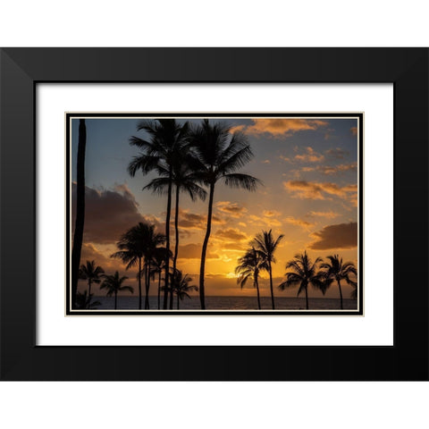 Tranquility Black Modern Wood Framed Art Print with Double Matting by Shawn