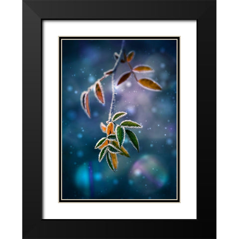 First Frost Black Modern Wood Framed Art Print with Double Matting by Georgieva V, Nikki