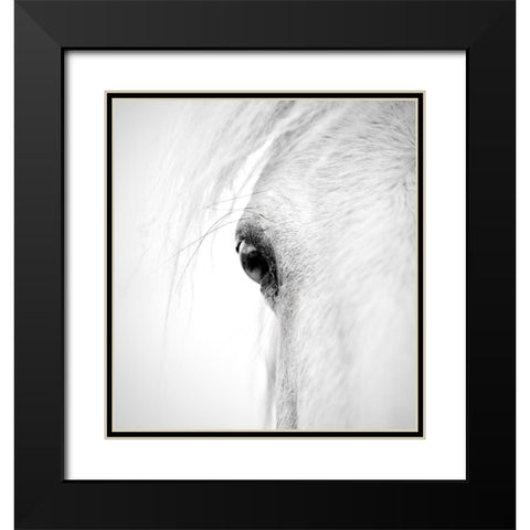 Horse Eye Black Modern Wood Framed Art Print with Double Matting by Zhao, Alex
