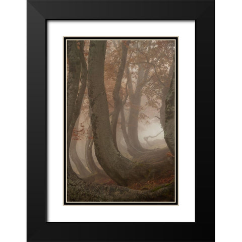 Twisted Beeches Black Modern Wood Framed Art Print with Double Matting by Marchegiani, Roberto