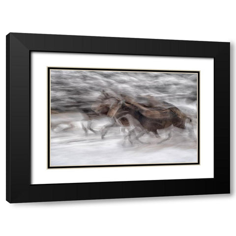 Black Dominance Black Modern Wood Framed Art Print with Double Matting by Malovrh, Milan