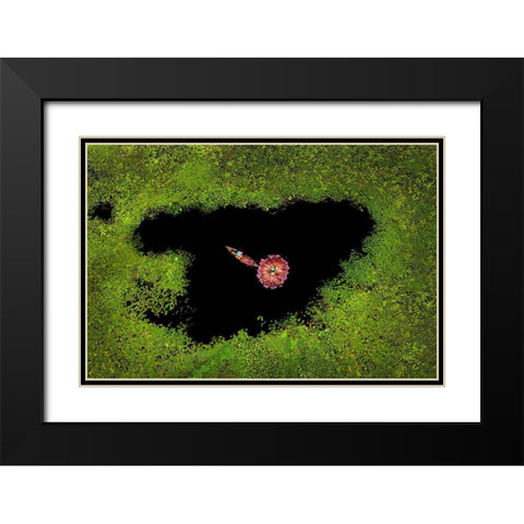 Harvesting Waterlily Black Modern Wood Framed Art Print with Double Matting by Adikary, Sujon
