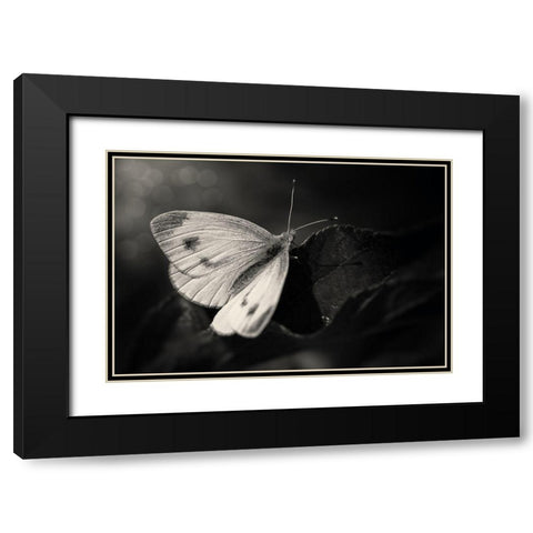 The Escape Black Modern Wood Framed Art Print with Double Matting by Michael