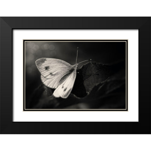 The Escape Black Modern Wood Framed Art Print with Double Matting by Michael